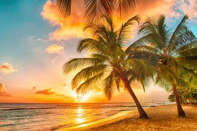 Beautiful Sunset over the Sea with a View at Palms on the White Beach on a Caribbean Island of Barb - Photographic Print, 12x8