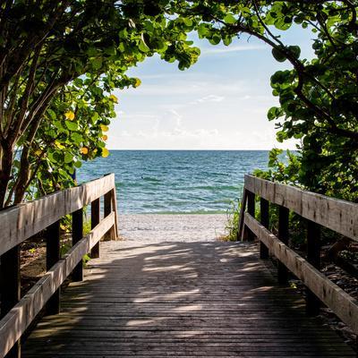 Boardwalk on the Beach - Photographic Print, 16x16