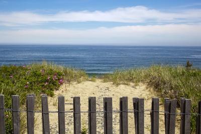 Fence and Sand Dunes on Coast - Photographic Print, 12x8