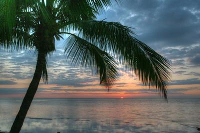 Key West Sunrise One Palm - Photographic Print, 18x12