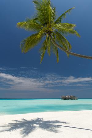 Luxury Over-Water Bungalow at Gili Lankanfushi Resort Maldives and Beach with Palm Trees - Photographic Print, 8x12