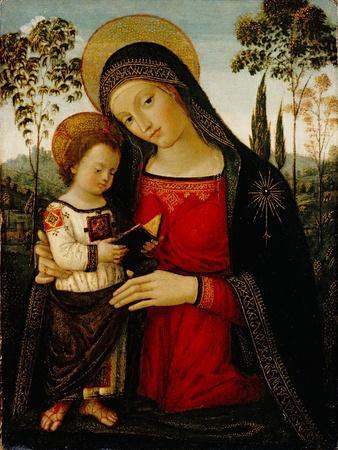 Madonna and Child, c.1490-1495 - Giclee Print, 12x16