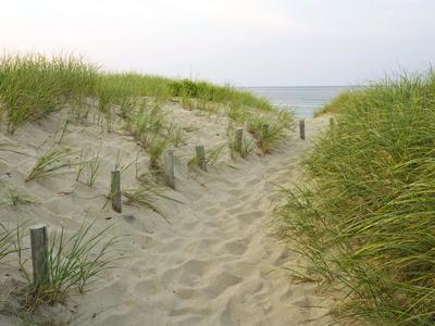 Path at Head of the Meadow Beach, Cape Cod National Seashore, Massachusetts, USA - Photographic Print, 12x9