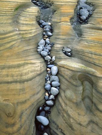Rocks Caught in Sandstone Formations, Seal Rock Beach, Oregon, USA - Photographic Print, 12x16