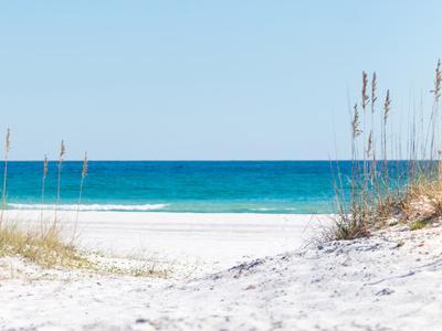 View through the Dunes to the Blue Ocean of Pensacola Beach - Photographic Print, 16x12